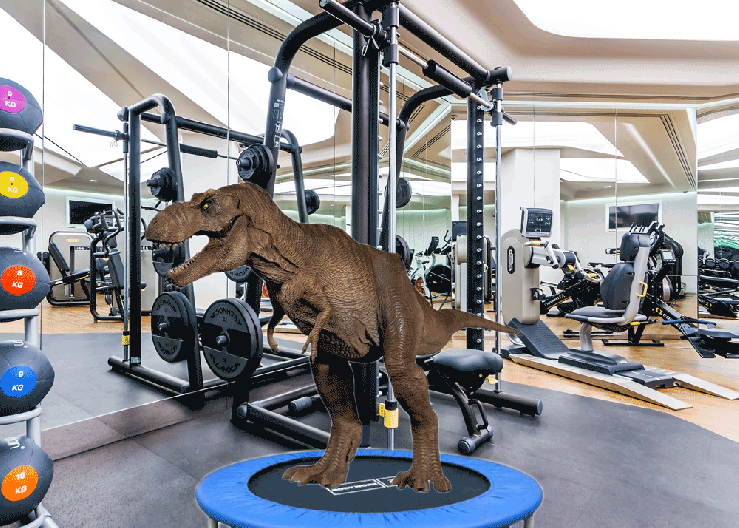 Ayers-Dinotrampoline-Animation