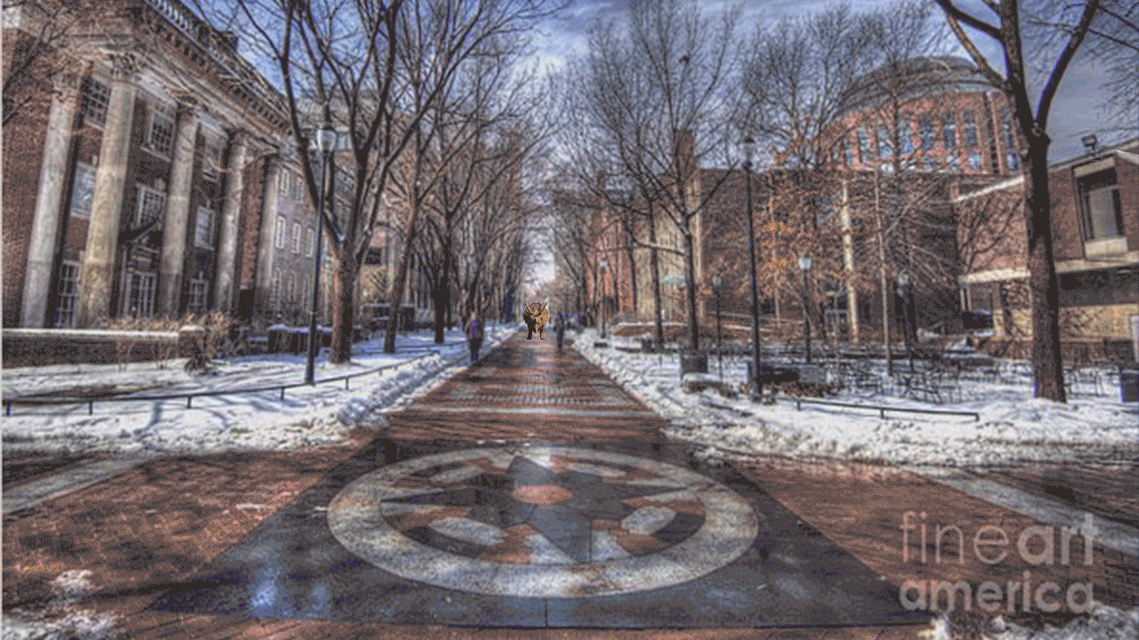 brook.project2.dinosaurs