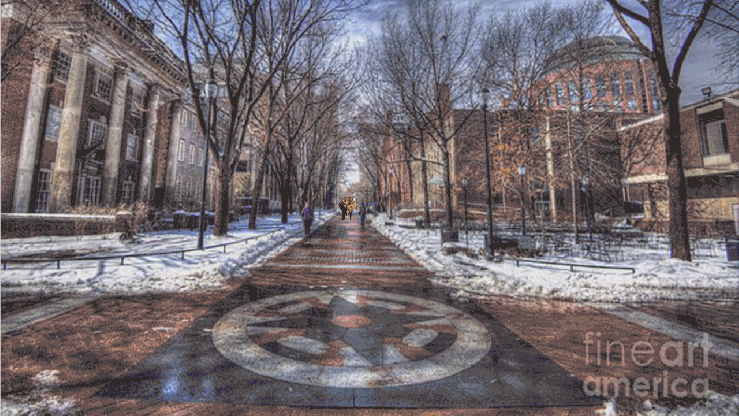 brook.project2.dinosaurs